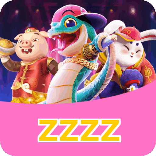 zzzz — download do app e privacidade de dados